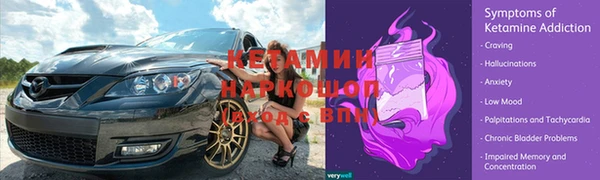 прущие грибы Балабаново