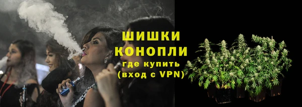 прущие грибы Балабаново