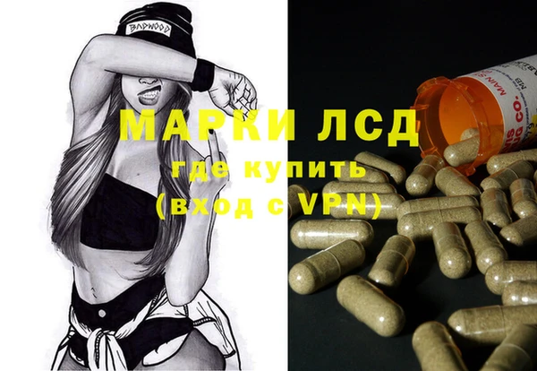 прущие грибы Балабаново