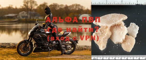 прущие грибы Балабаново
