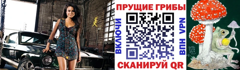 Купить  Аткарск  Псилоцибиновые грибы мухоморы 